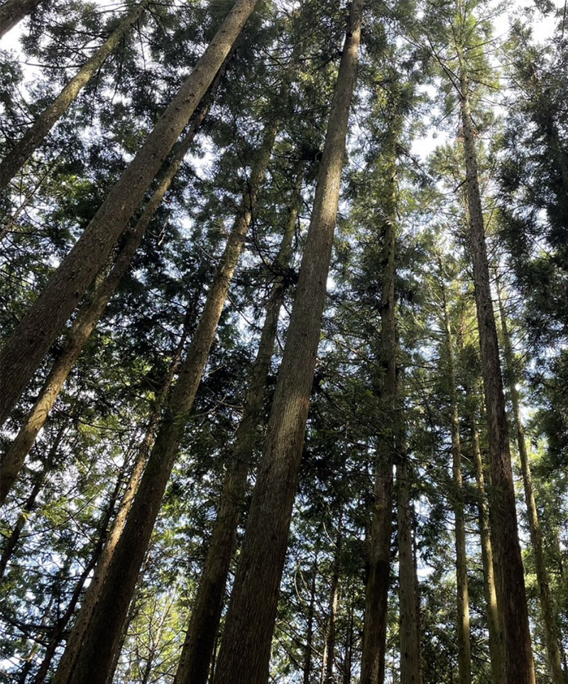 イベント風景